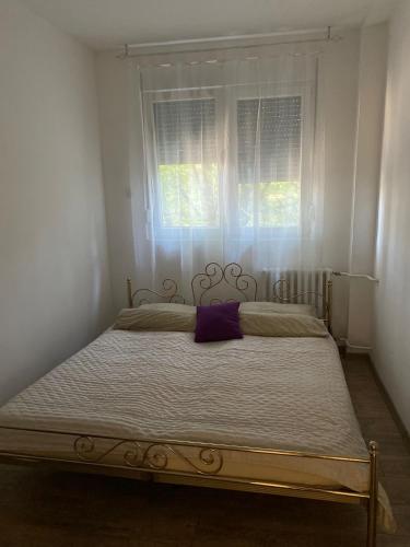 Vanja Apartman Vanja Apartman