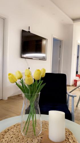 Vanja Apartman Vanja Apartman