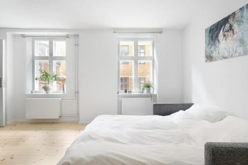 Charmerende lejlighed ved Nyhavn 1 sal, Kodaň (fotografie 9)