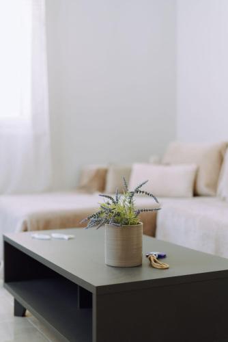 Two-Bedroom Apartment image 7