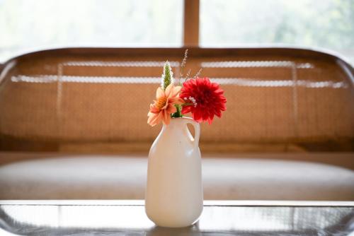 Facilities, Zankhrpas A Himalayan Home - Manali in Larankelo