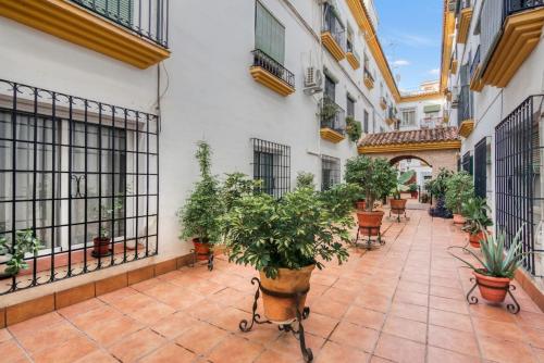 Apt City Center,Luxury decoration,20min to Cathedral of Cordoba, Córdoba (photo 9)