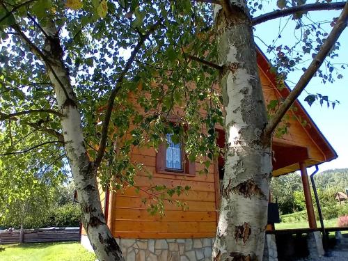 Wrzos Chata w Beskidach Wrzos Chata w Beskidach