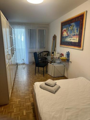 Schönes Zimmer in der City Basel, Basilea (foto 6)