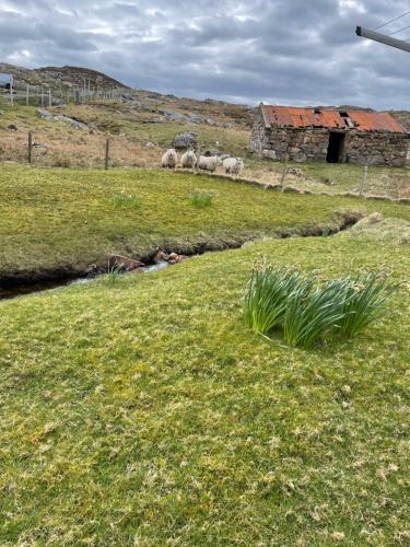 Glorig, Isle of Harris in 哈里斯島