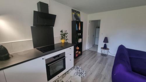 Le Charmant T3 avec Jardin Privé (Le Charmant T3 avec Jardin Prive) in Quint-Fonsegrives