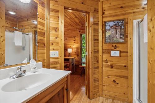 Sleepy Willow Cabin in Sevierville, USA