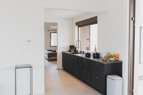 設施, Villa Blenchi in 紐波特