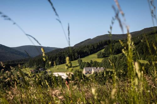 Nabij attractie, Apartmán Mariana (Apartman Mariana) in Bela Pod Pradedem