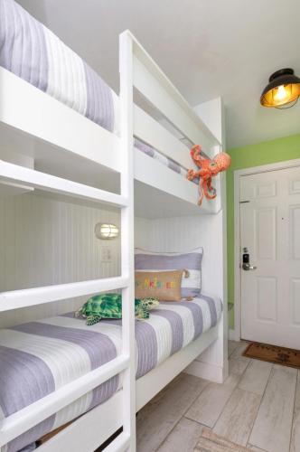 CDM 204 - Turtle-y Awesome in Galveston, USA