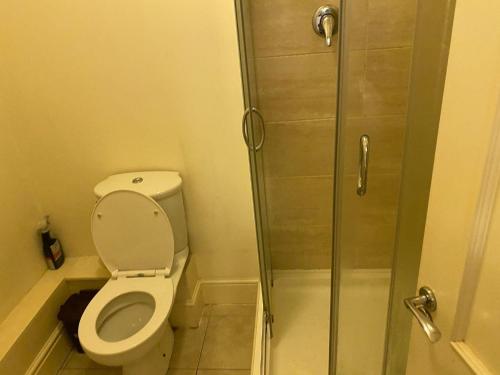 Modern Apt 3 Bedrooms near Dundrum, Dublin (fotografie 10)