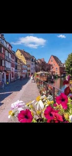 À la petite Venise hyper centre Colmar
