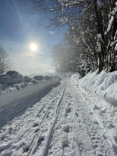 Gorjuška Rozamunda (Gorjuska Rozamunda) in Номень