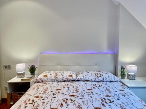 CALMFRANC atico abuhardillado con vistas al rio y la montana Avistamiento de ciervos en Canfranc Pue in Aisa