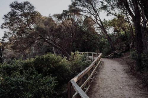 Sentinel at Freycinet