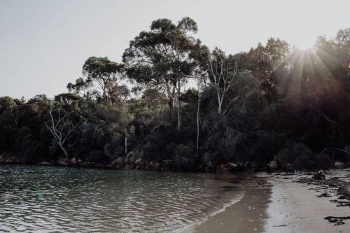 Sentinel at Freycinet