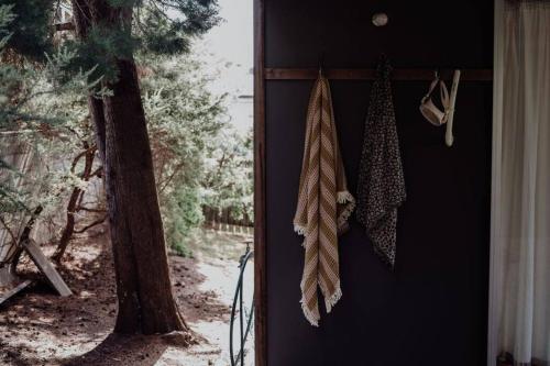 Sentinel at Freycinet