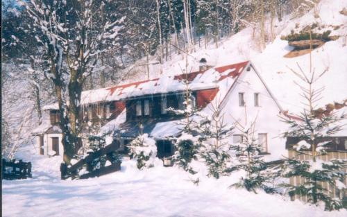 Holiday Home Ve Vlčicích