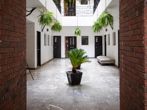 Hotel Florida, Centro Historico