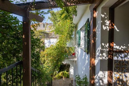 Casa Dona Aninhas - Douro gîte à louer Vila Nova