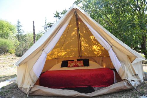 1 queen bed
