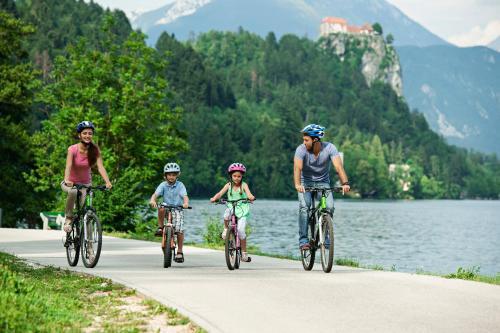 Garni Hotel Savica - Sava Hotels & Resorts - image 2