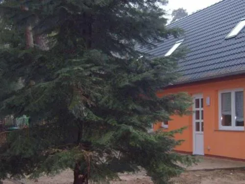 Ferienhaus Jägerswalde in Mühl Rosin, Deutschland