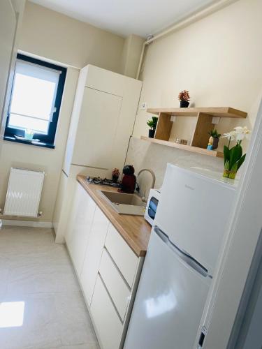 One-Bedroom Apartment with Balcony image 9