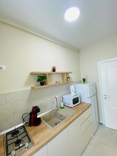One-Bedroom Apartment with Balcony image 7