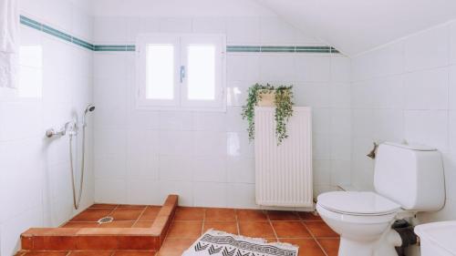 Maisonette image 5