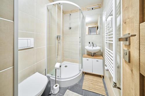 Apartmán - Dovolená Žacléř, Žacléř (foto 8)
