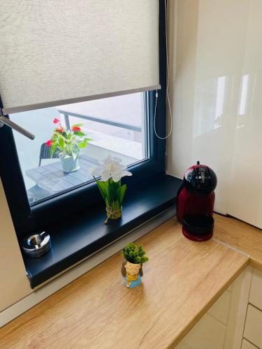 Studio with Balcony room in CORAL Studio