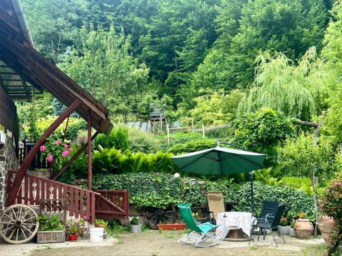 Iekārtas, Báncs Vidéki Vendégház és Tanya (Bancs Videki Vendeghaz es Tanya) in Satu Mare (Harghita)