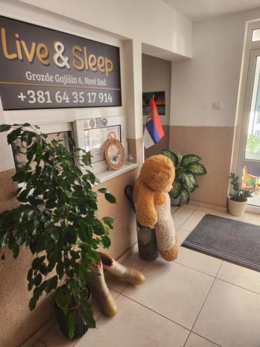 hotel photo
