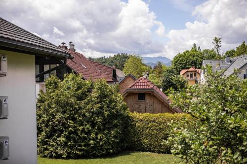 Apartments Villa AnnaMaria - image 8