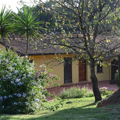 La Casa Gialla gîte à louer Nozzano