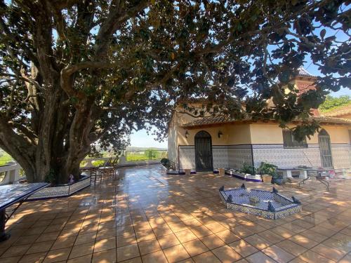 المرافق, Bamboo Room with mountain views and lots of natural light in آلزيرا