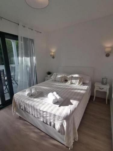 One-Bedroom apartment Standard image 4