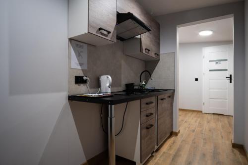 Cozinha, Dream Aparts - Wschodnia 34 in Lodz