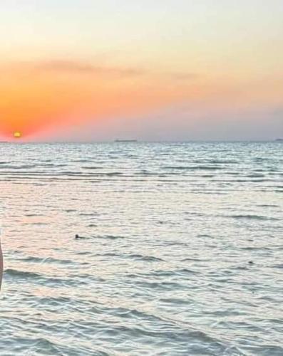إطلالة مباشرة على البحر شاليه فندقي مكيف بحديقة خاصة راس سدر, Ras Sedr (foto 4)