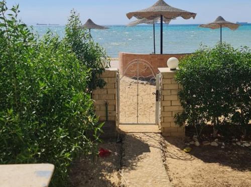 إطلالة مباشرة على البحر شاليه فندقي مكيف بحديقة خاصة راس سدر – khách sạn tại Ras Sedr