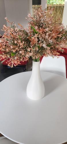 บริการและสิ่งอำนวยความสะดวก, Stellenbosch Paradijs Cottage Paradyskloof in พาราดิสคลอฟ