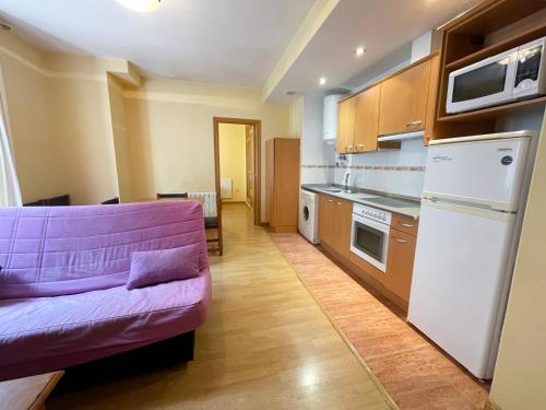 Konyha, Apartamentos Canfranc 3000 in Aisa