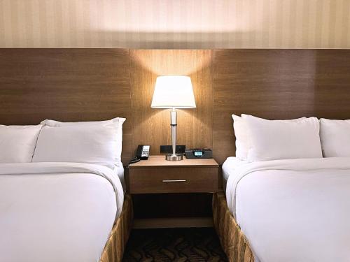 2 double beds