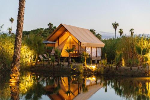 Amet Nature Retreat in Santiago, Mexico