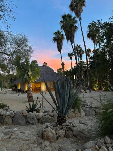 Amet Nature Retreat in Santiago, Mexico