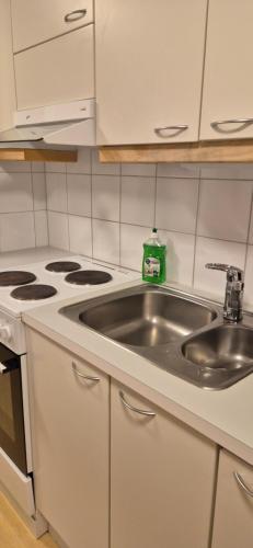 厨房, Spacious 4BR Apartment Särkilahti (Spacious 4BR Apartment Sarkilahti) in 萨翁林纳