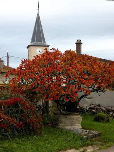 atypique le Saloon du Vermois gîte à louer La Madeleine