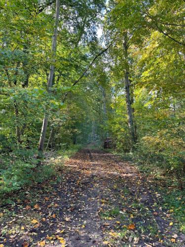 Apkārtne, Landurlaub Mecklenburgische Seenplatte bei Waren Müritz (Landurlaub Mecklenburgische Seenplatte bei Waren Muritz) in Groß Gievitz
