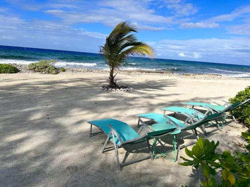 Aed, Featherstone Cottage, Cayman Brac in The Moorings